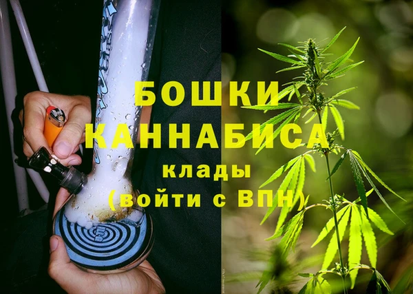 сатива Алексин