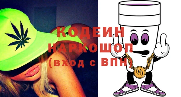 хмурый Алзамай